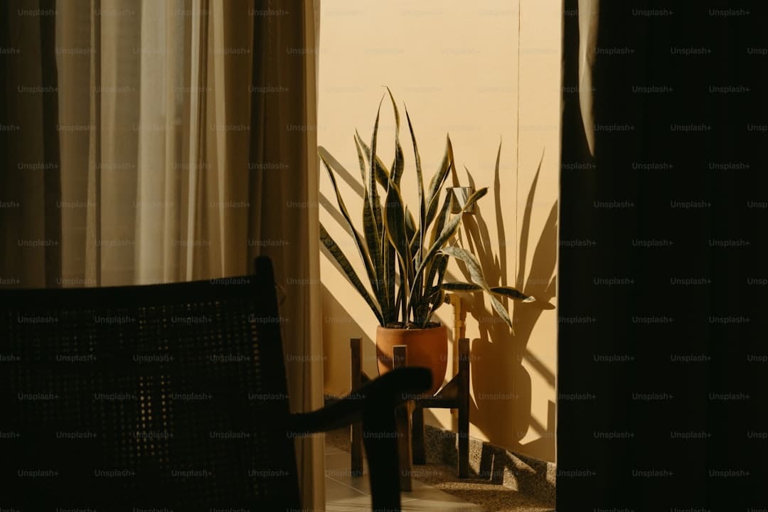 宋佳佟丽娅电影《轻于鸿毛》七夕定量点映 带上姐妹一同高兴动身